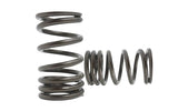 Kelford Cams Kelford Valve Springs - view 4