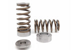 Kelford Cams Kelford G16E-GTS Valve Springs - view 2