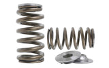 Kelford Cams Kelford Valve Springs - view 17