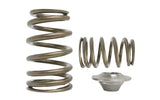 Kelford Cams Kelford SR20VE Valve Springs - view 1