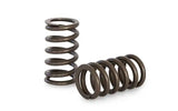 Kelford Cams Kelford 4G63 Valve Springs - view 2
