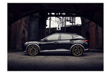 RacingLine Sport Lowering Springs Cupra Formentor/Ateca 2.0 TSI MQBE [VWR31F020]