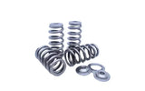 Kelford Cams Kelford S58 Valve Springs - view 2