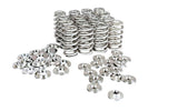 Kelford Cams Kelford K20A Valve Springs - view 2