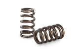 Kelford Cams Kelford 2.3L DISI L3 Valve Springs - view 1