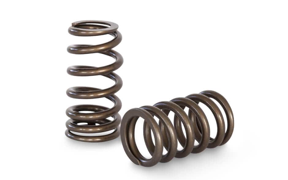Kelford LF-VE Valve Springs