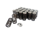 Kelford Cams Kelford Valve Springs - view 9