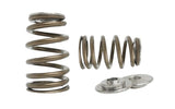 Kelford Cams Kelford K20A Valve Springs - view 3
