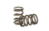 Kelford Cams Kelford FA20 Valve Springs - view 1