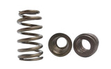 Kelford Cams Kelford LS V8 Valve Springs - view 2