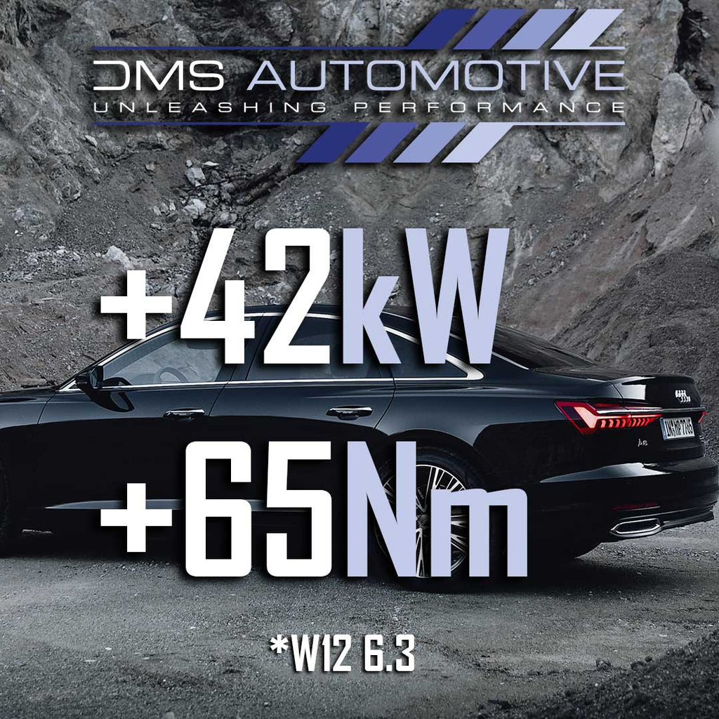 DMS Automotive ECU Software – Audi A8 W12